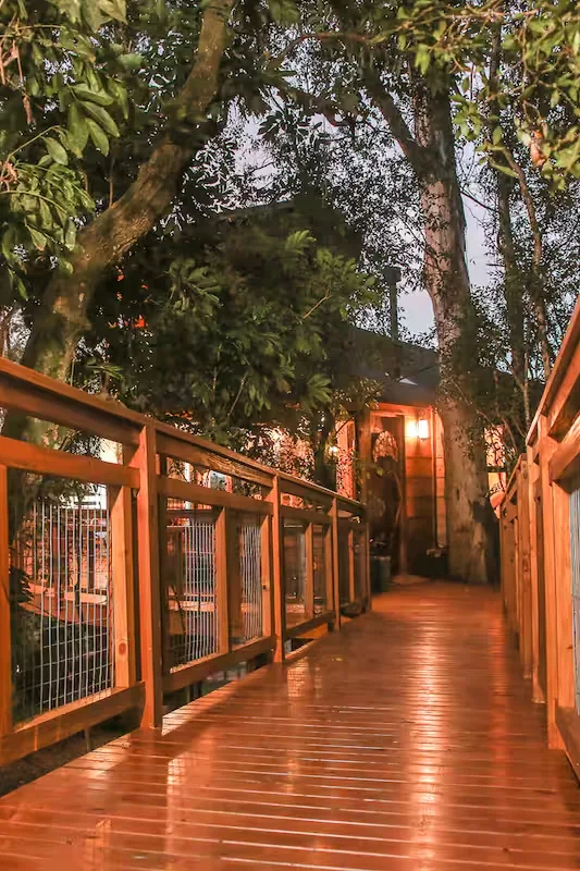 A passarela de madeira iluminada ao entardecer, que leva à casa pelo bosque