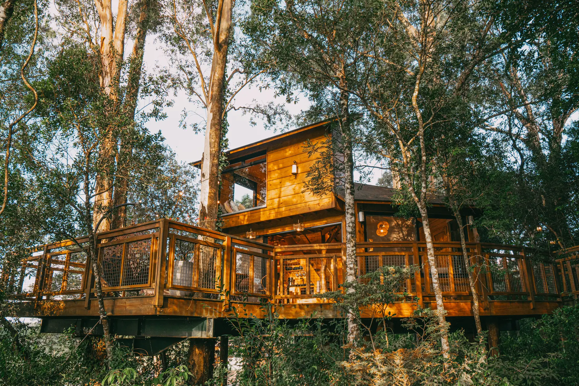 A casa na árvore Aconchego, com o deck entre as árvores