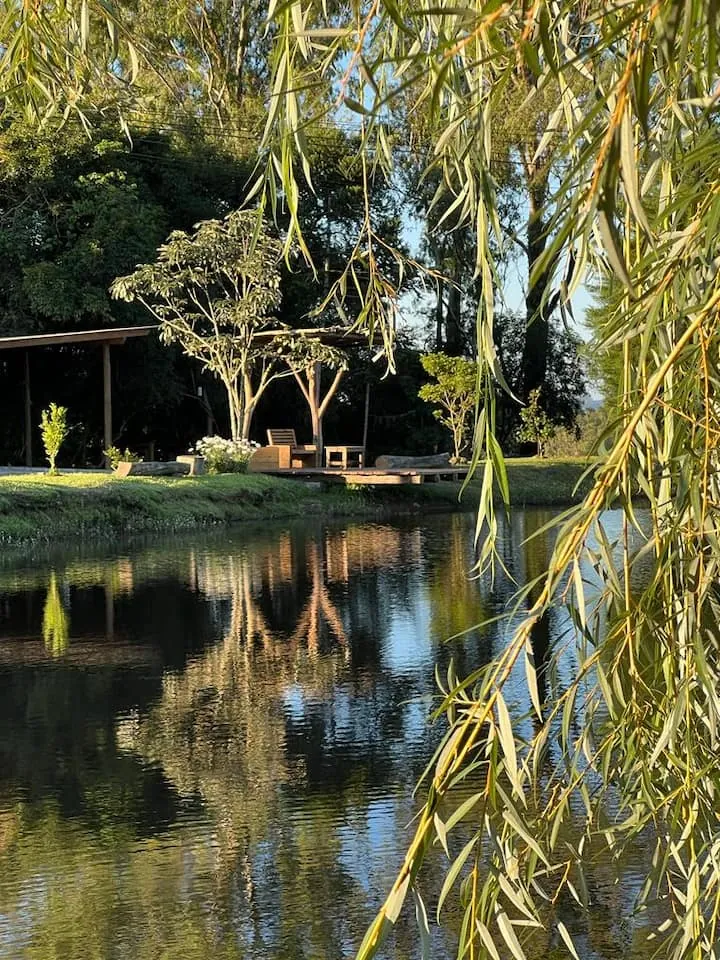 O açude entre os salgueiros, com o bosque ao fundo
