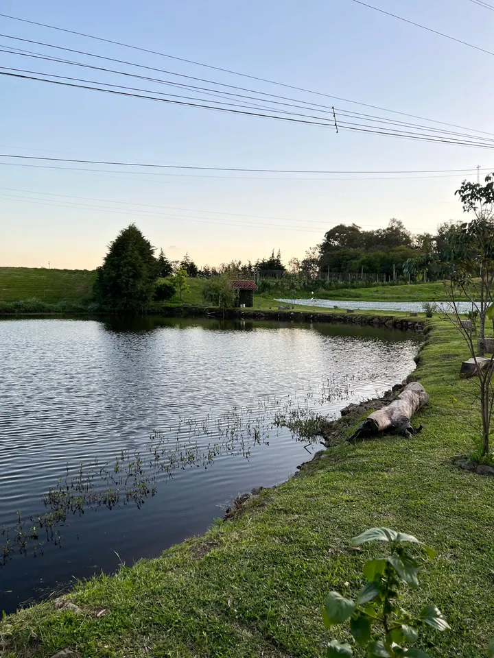 O açude da Aconchego ao entardecer, com o campo e o bosque ao fundo