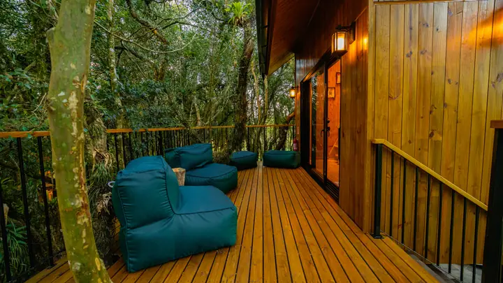 Deck e bosque
